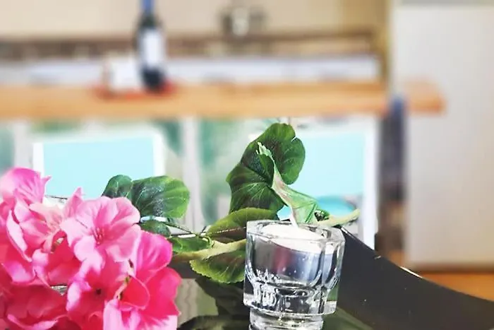 Gelimar * 푸에르토리코