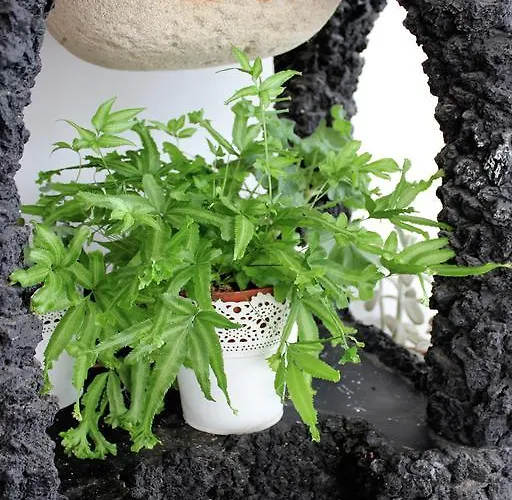 아파트 Gelimar 푸에르토리코