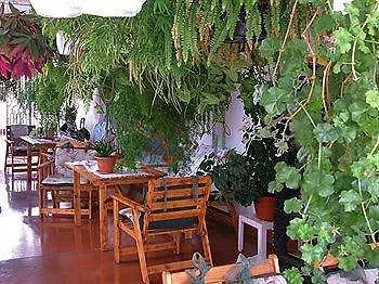 Gelimar 푸에르토리코