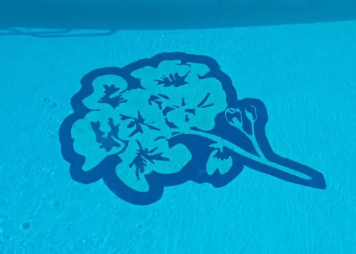 Gelimar 푸에르토리코