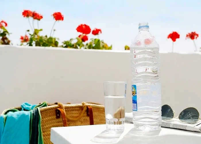 Gelimar 푸에르토리코