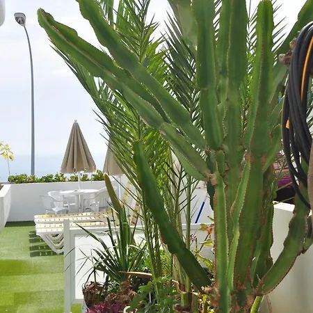 Apartamento Gelimar